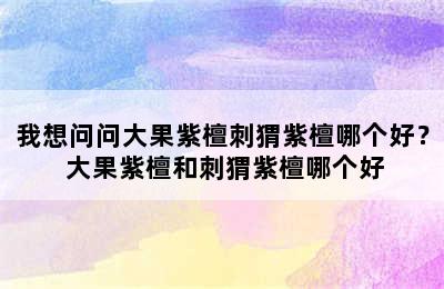 我想问问大果紫檀刺猬紫檀哪个好？ 大果紫檀和刺猬紫檀哪个好